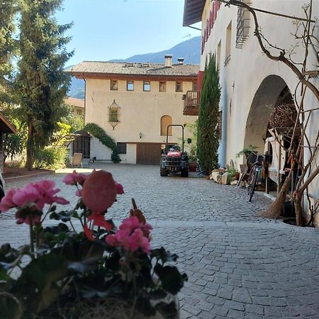 Ansitz Von Wohlgemuth Διαμέρισμα Salorno Εξωτερικό φωτογραφία