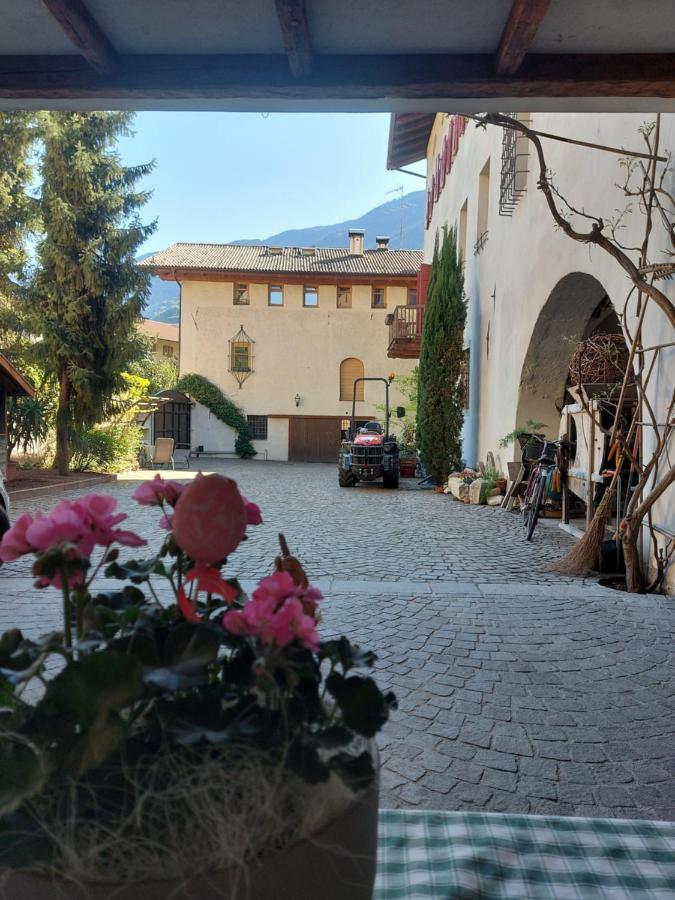 Ansitz Von Wohlgemuth Διαμέρισμα Salorno Εξωτερικό φωτογραφία